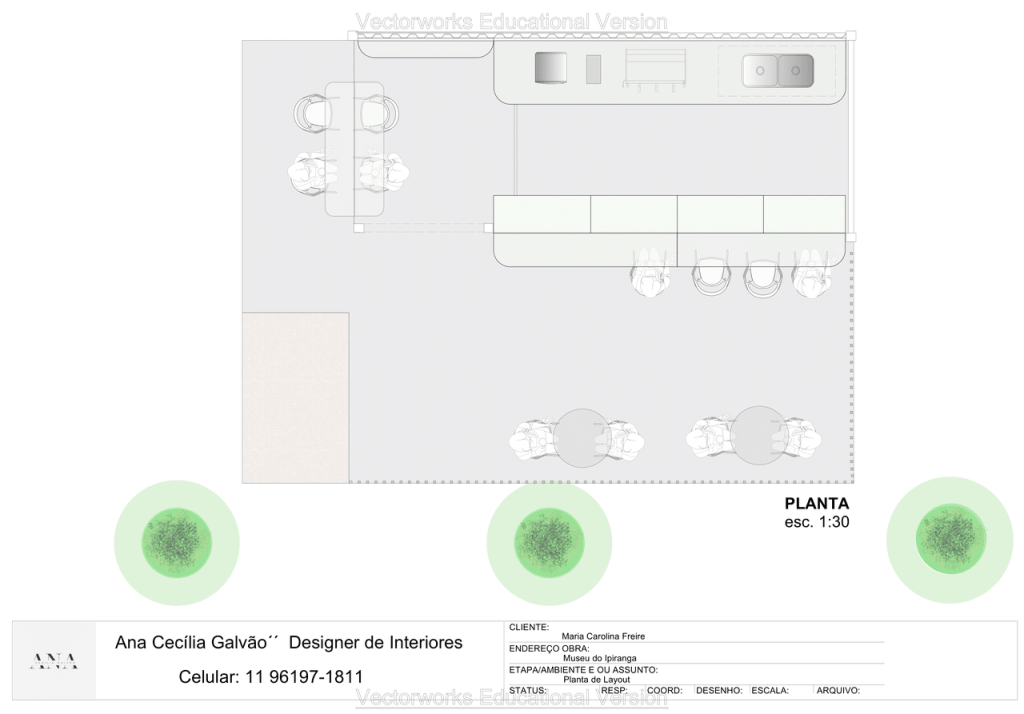 Obra de Ana Cecília Galvão Bernabé Tanigawa